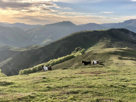 terre basque aventure circuits raid baja aragon 800 1000 12 0yllho